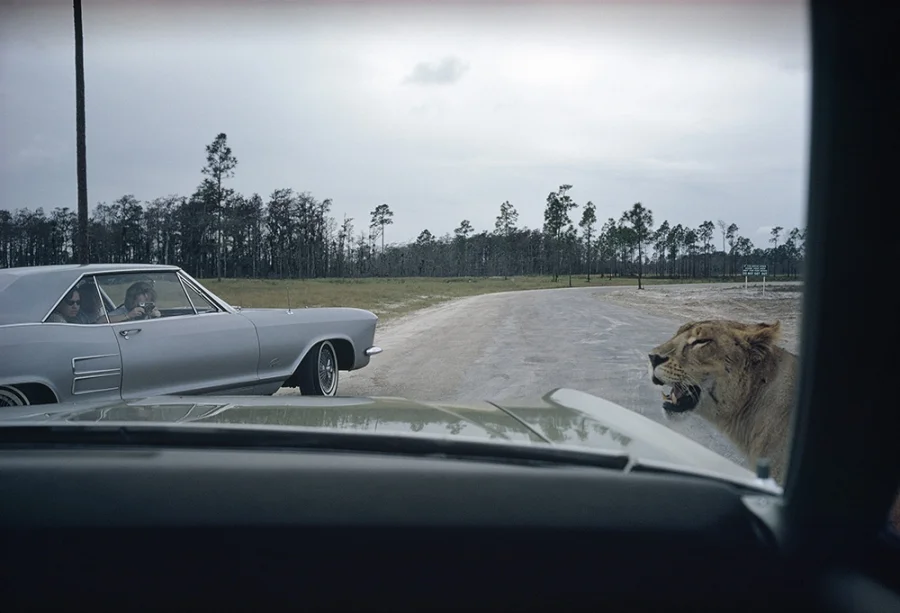 Florida (1970) © Joel Meyerowitz via Oxford American