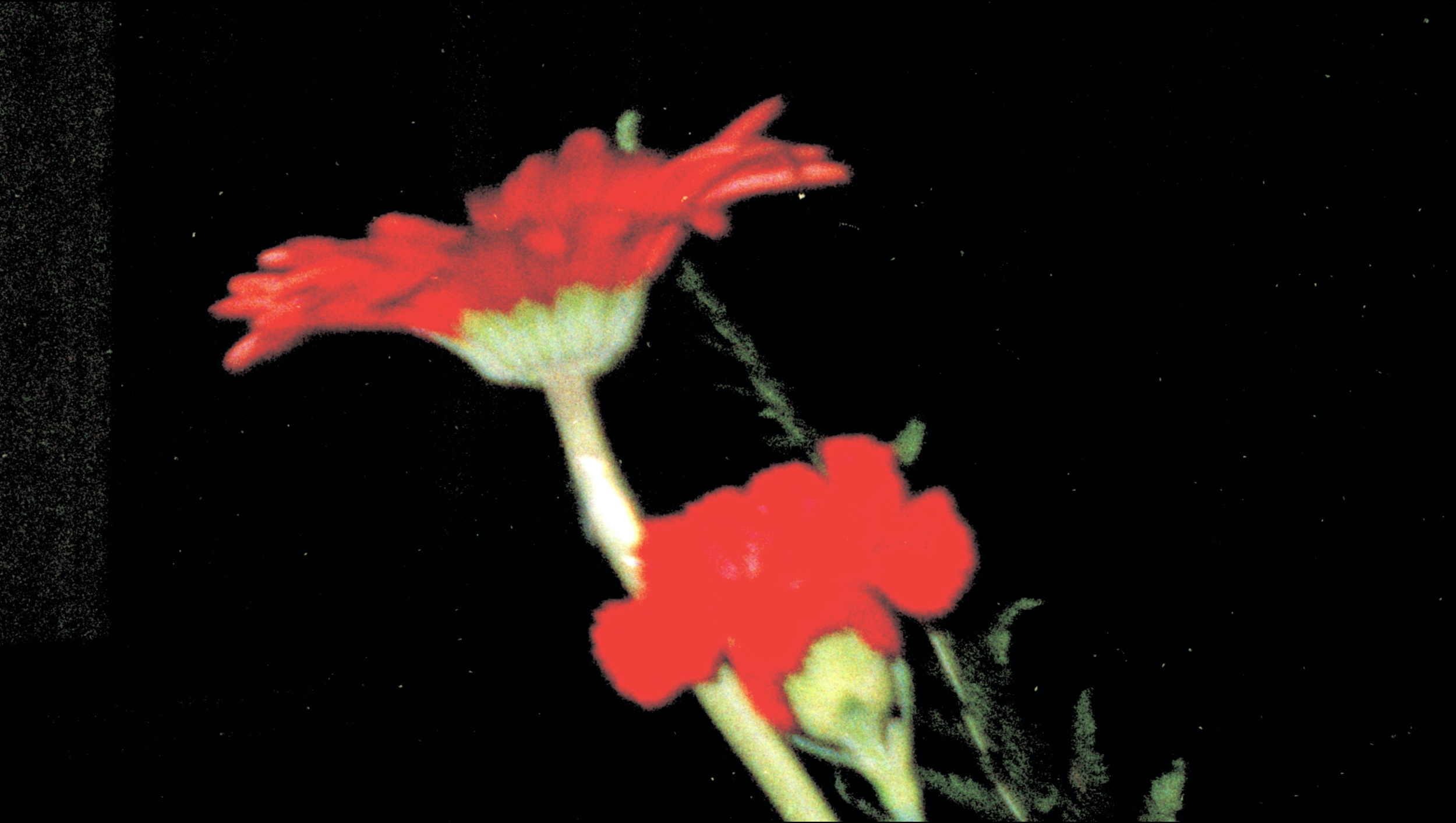 Revolv & BPF.png