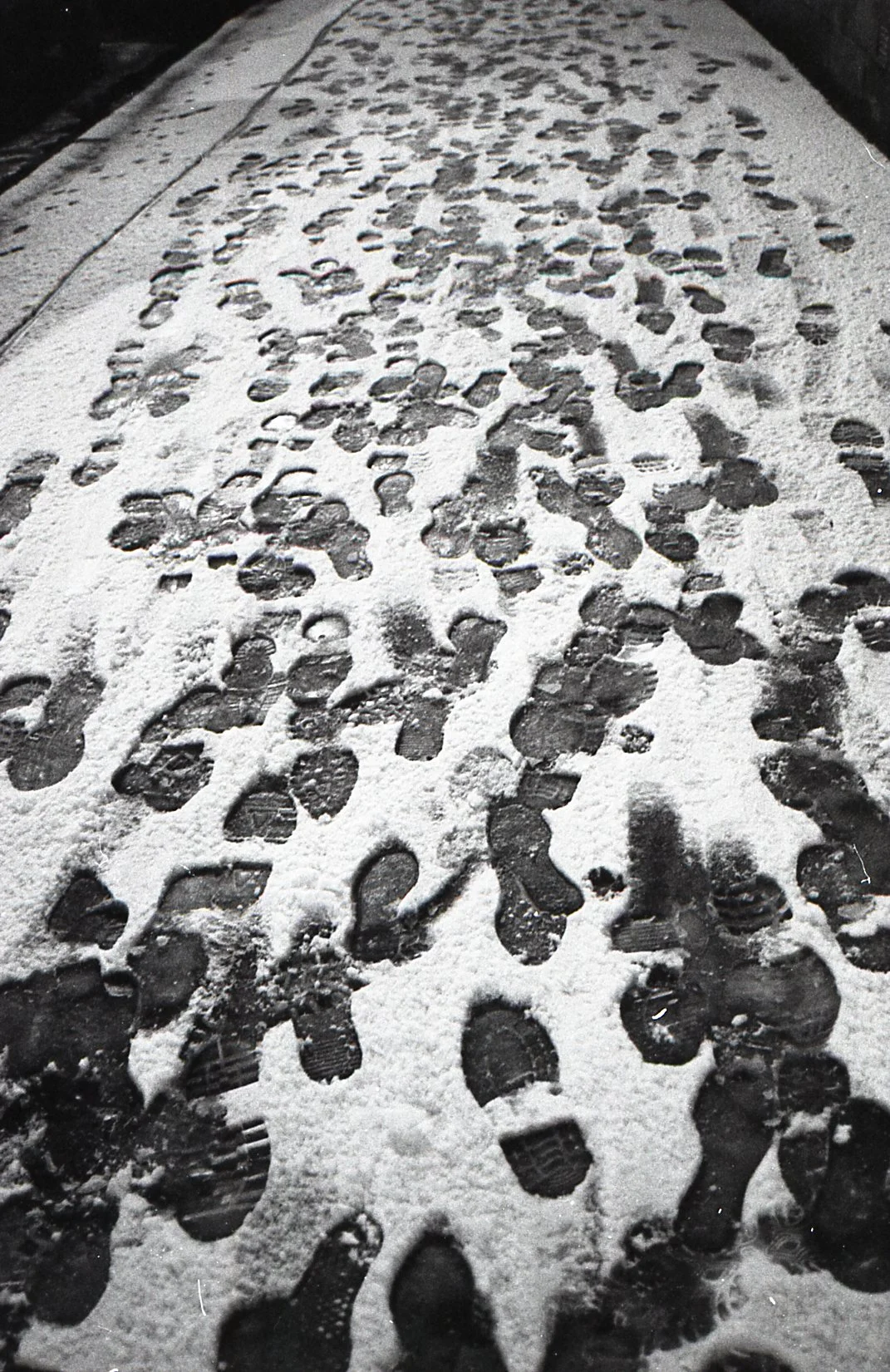 Leabrinon_Glasgowsnow_1.jpg