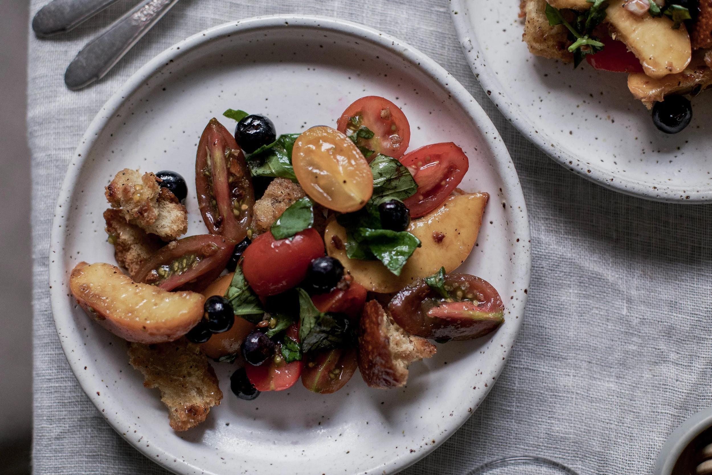 double crisped sourdough panzanella salad with peaches and blueberries-38.jpg