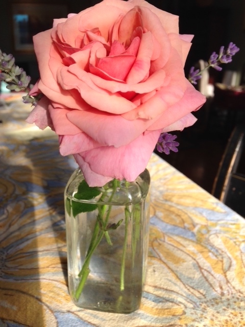 The quintessential rose