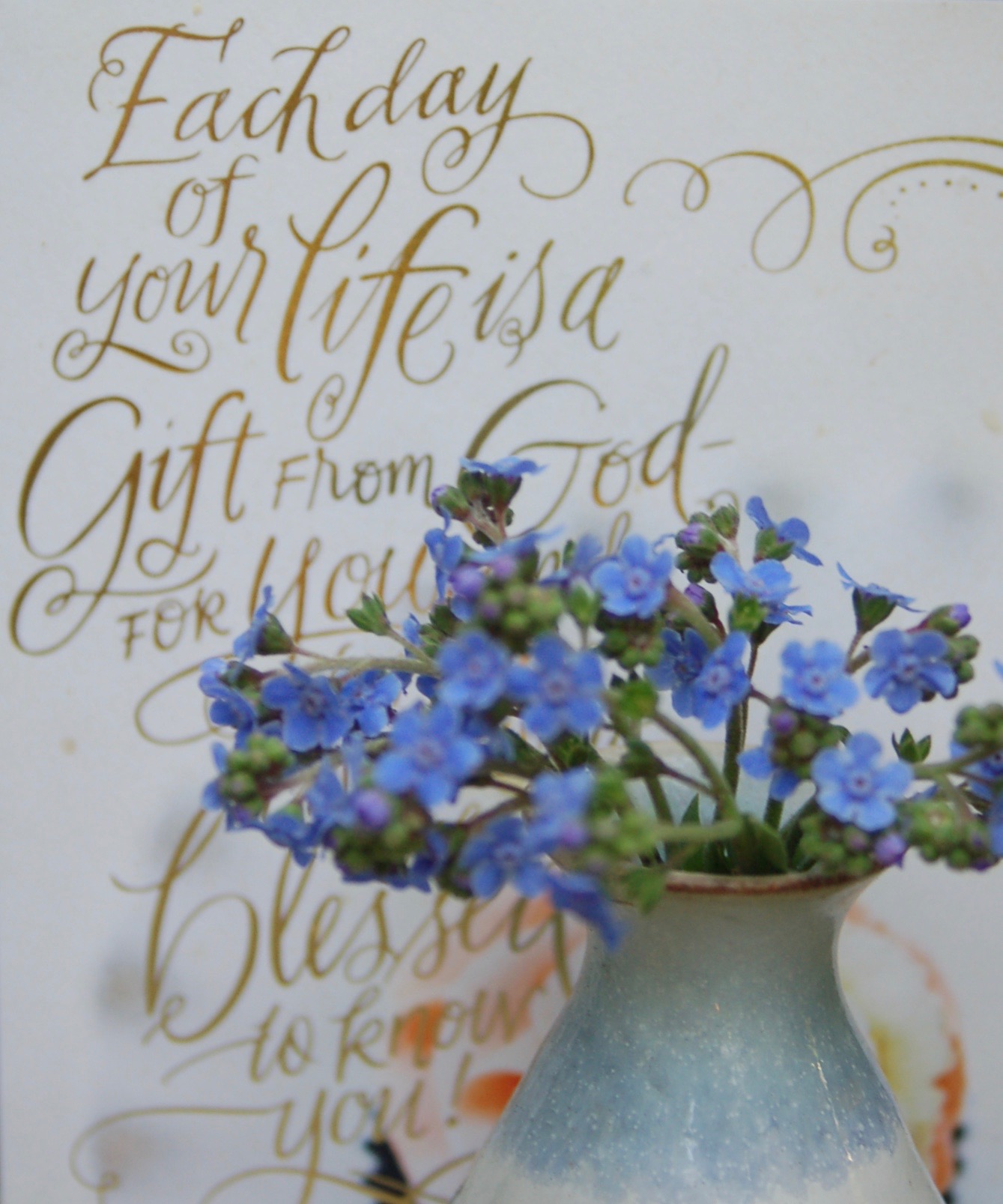 Forget-me-nots from my German Street garden My response is to get down on my knees before the Father, this magnificent Father who parcels out all heaven and earth. I ask Him to strengthen you by His Spirit -- not a brute strength but a glorious inner strength -- that Christ will live in you as you open the door and invite Him in. And I ask Him that with both feet planted firmly on Love you'll be able to take in the extravagant dimensions of Christ's love. Reach out and experience the breadth! Test its length! Plumb the depths! Rise to the heights! Live full lives, full in the fullness of God. God can do anything, you know -- far more than you could ever imagine or guess or request in your wildest dreams! He does it not by pushing us around but by working within us, His Spirit deeply and gently within us. Ephesians 3:14-20 (Message Translation)