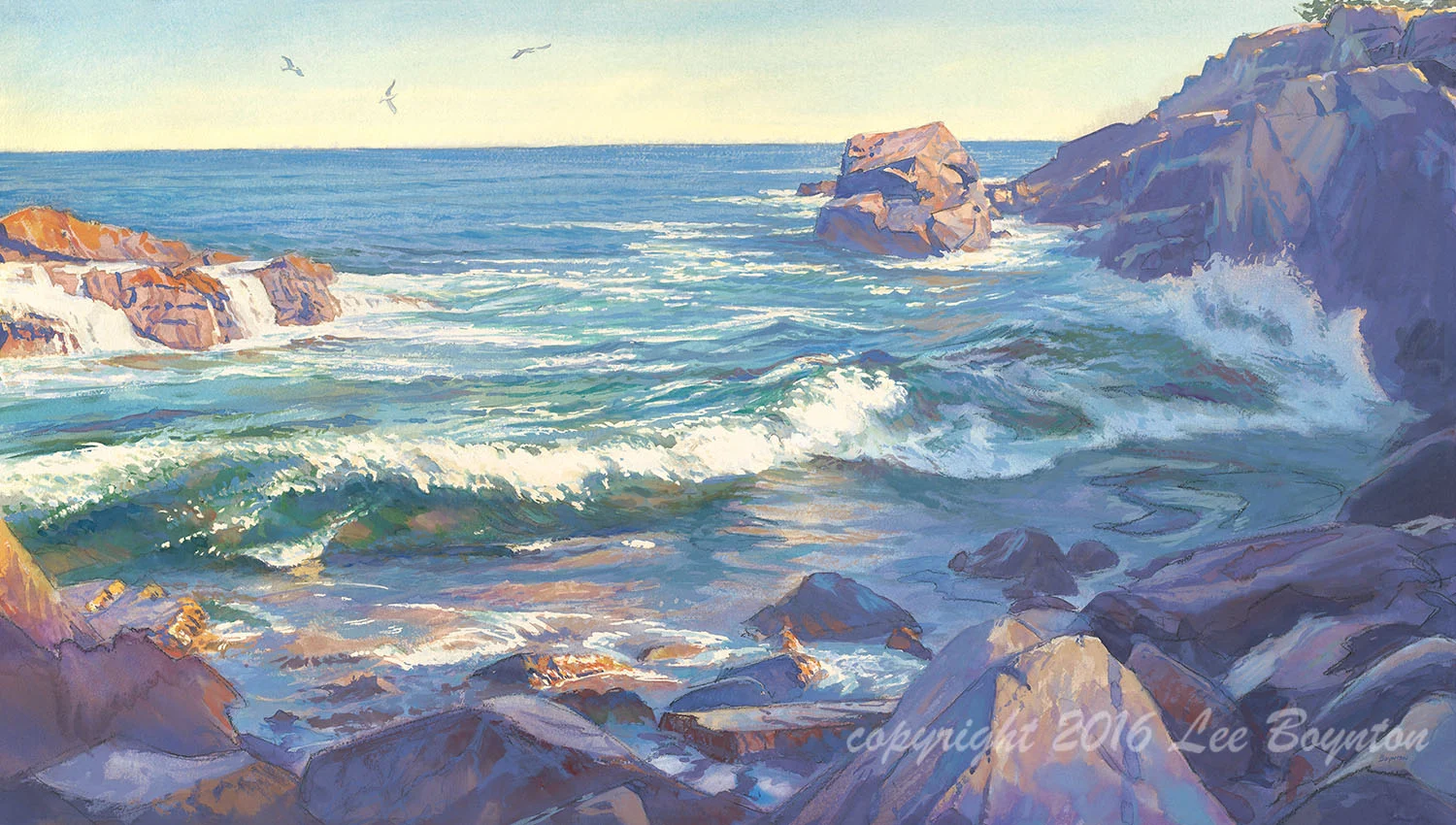 Acadia Surf