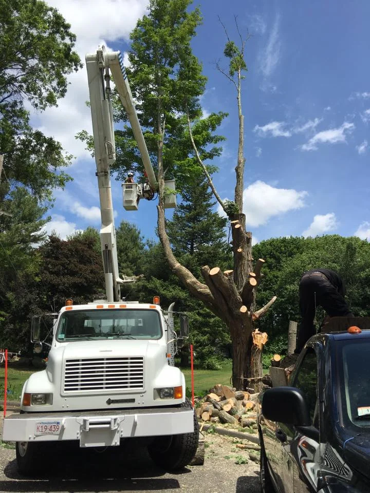 CDS Truck and Equipment Rental Services