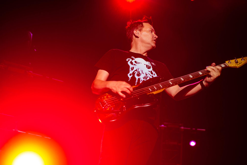 download (7).jpeg
