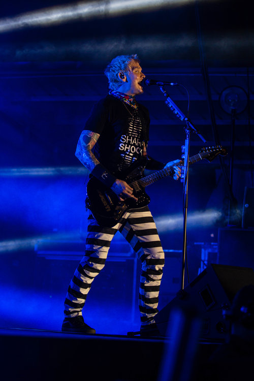 download (18).jpeg