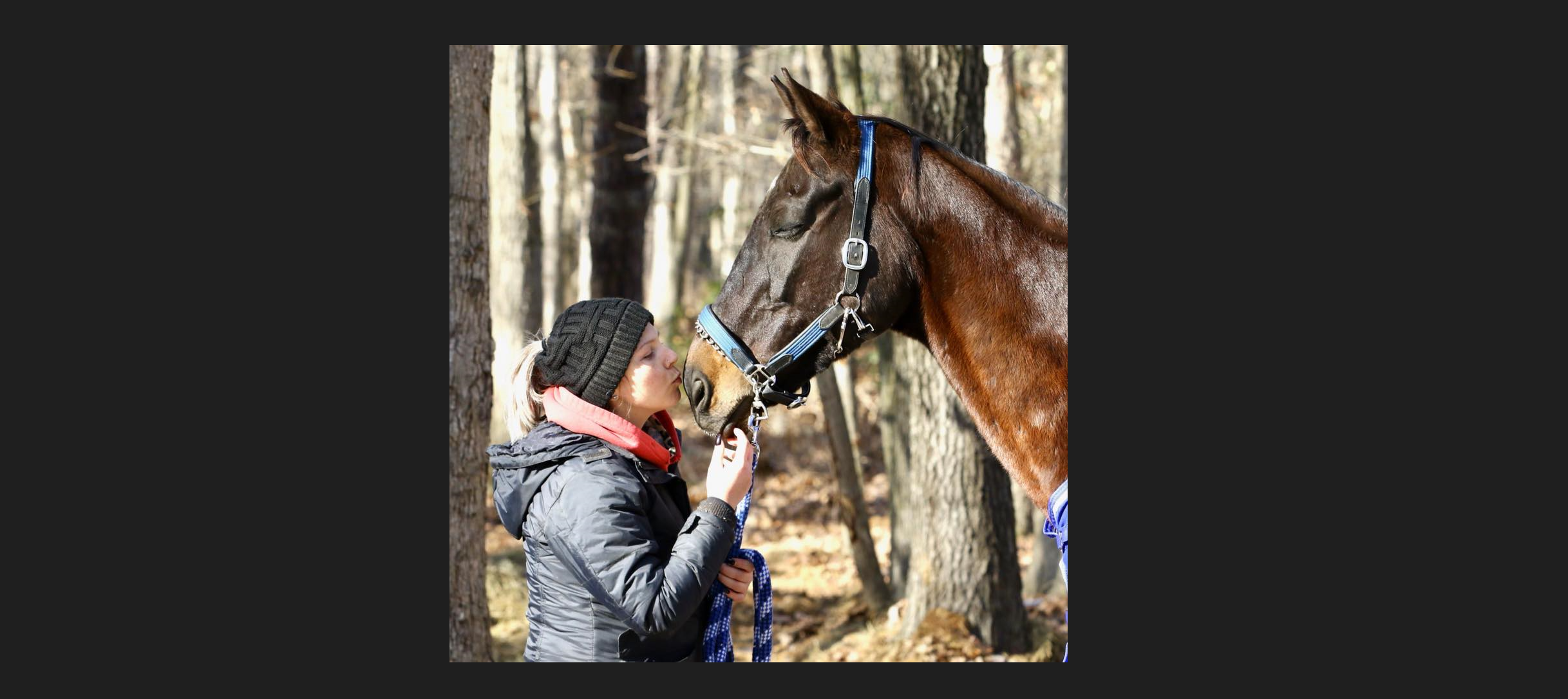 Photo Shout Out Becca! #beautiful #pretty #greatpic #instagood #photooftheday #horse #horses #nj #becca