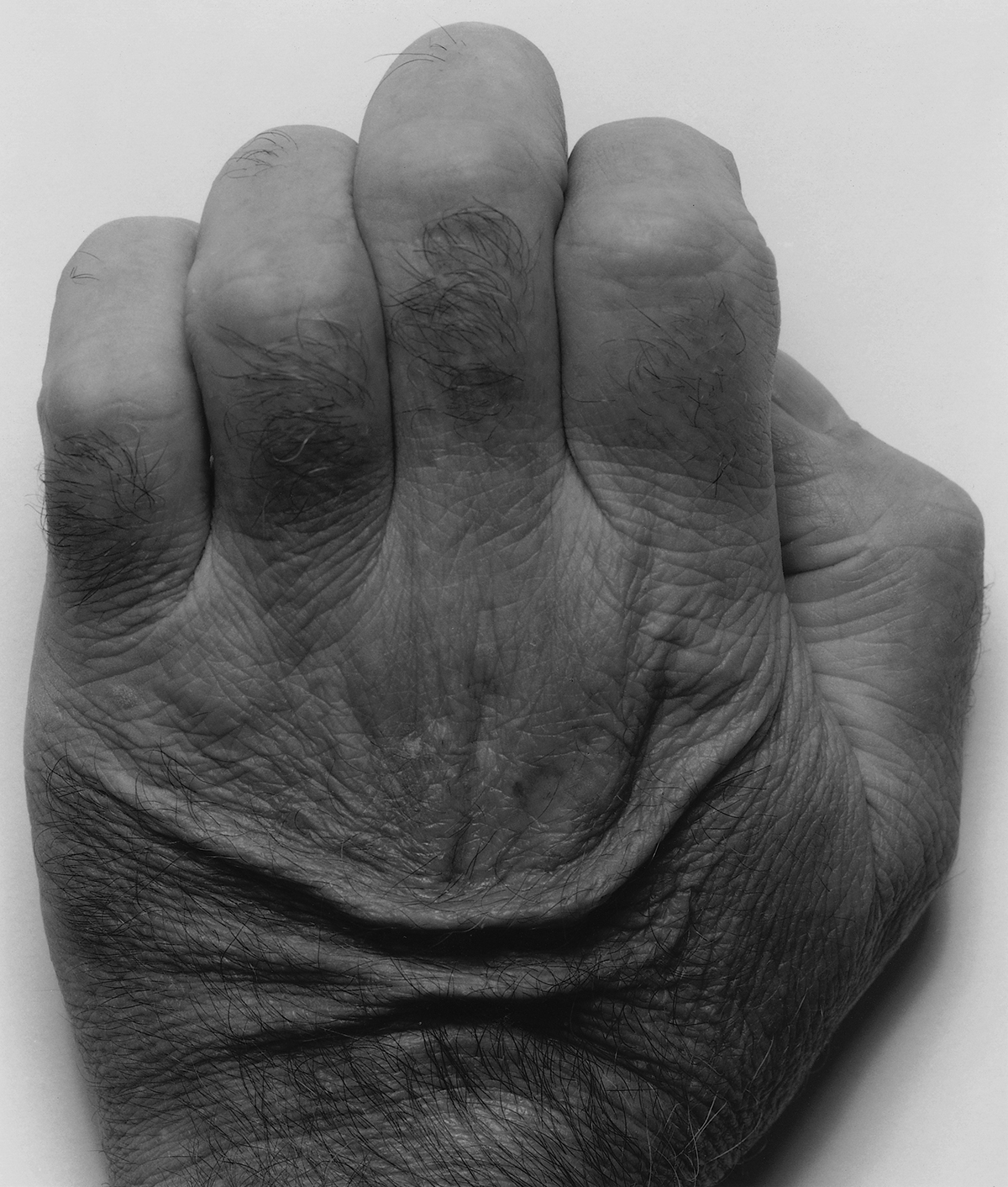 Back of Hand, No. 1, 1986