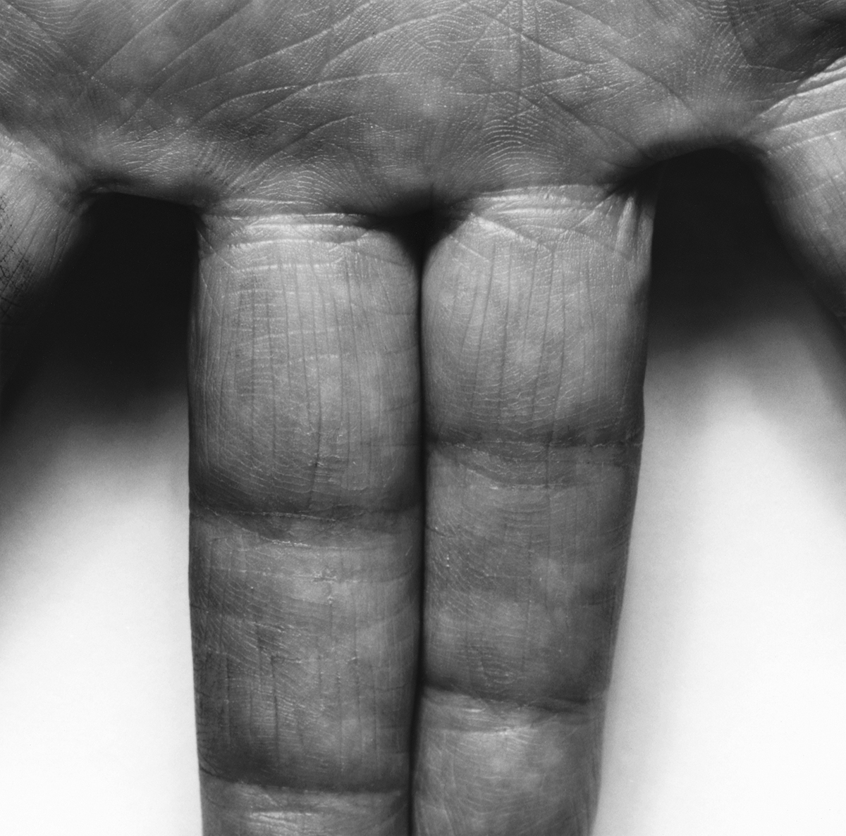 Hand, Spread Fingers, 1987