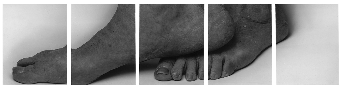 Toes on Foot, Five Panels, 1989