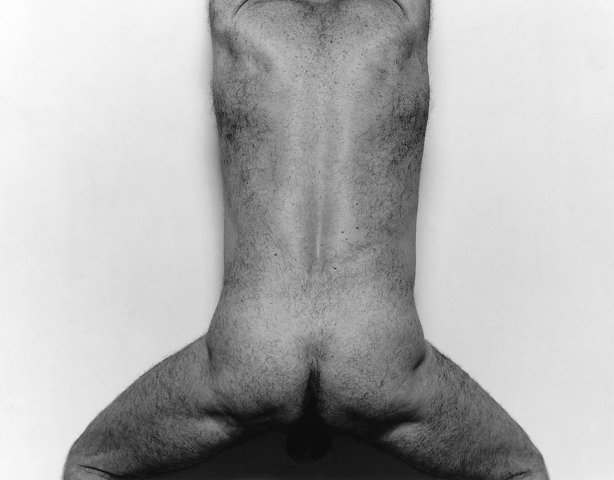 Back View, Upright, 1985