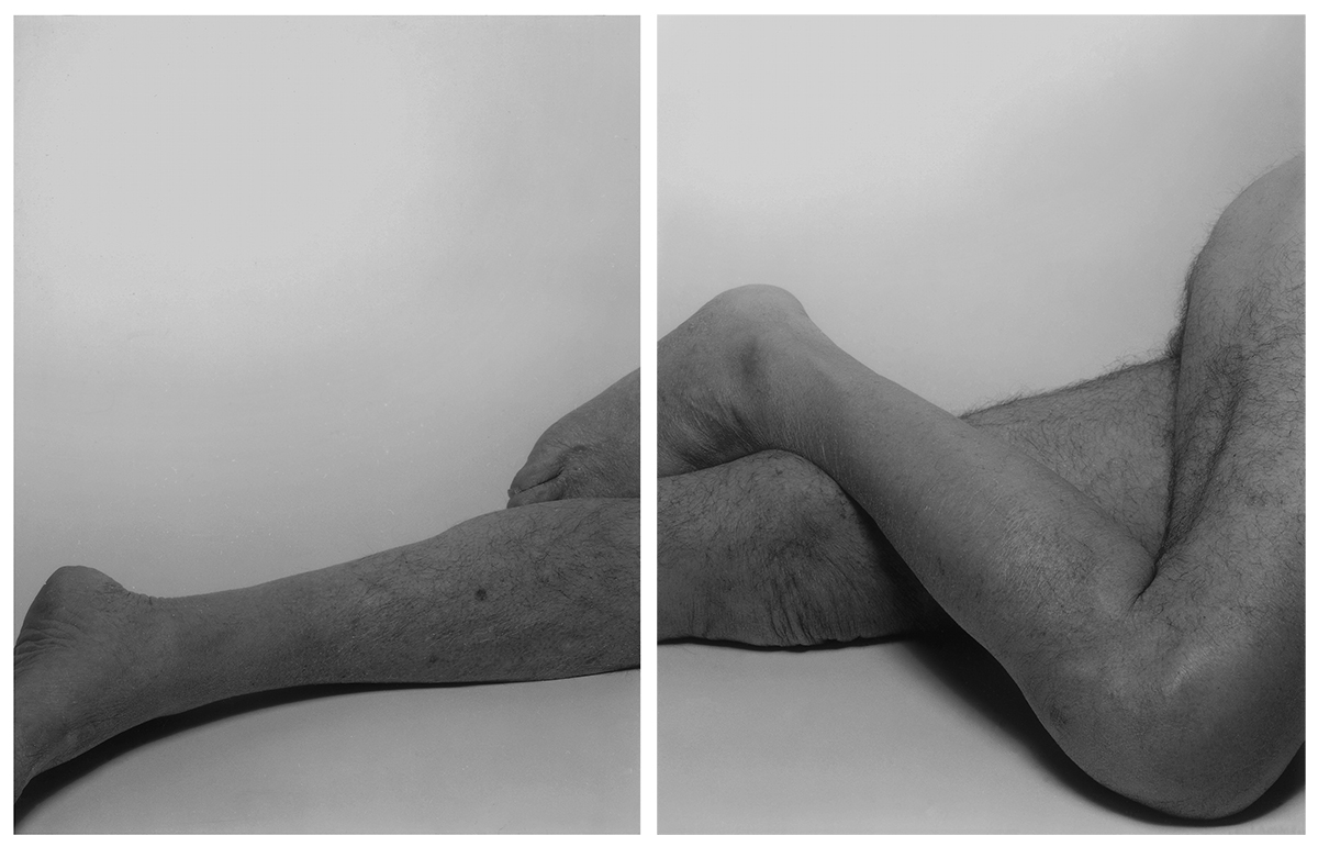 Legs Horizontal, Two Panels, No. 5, 1998