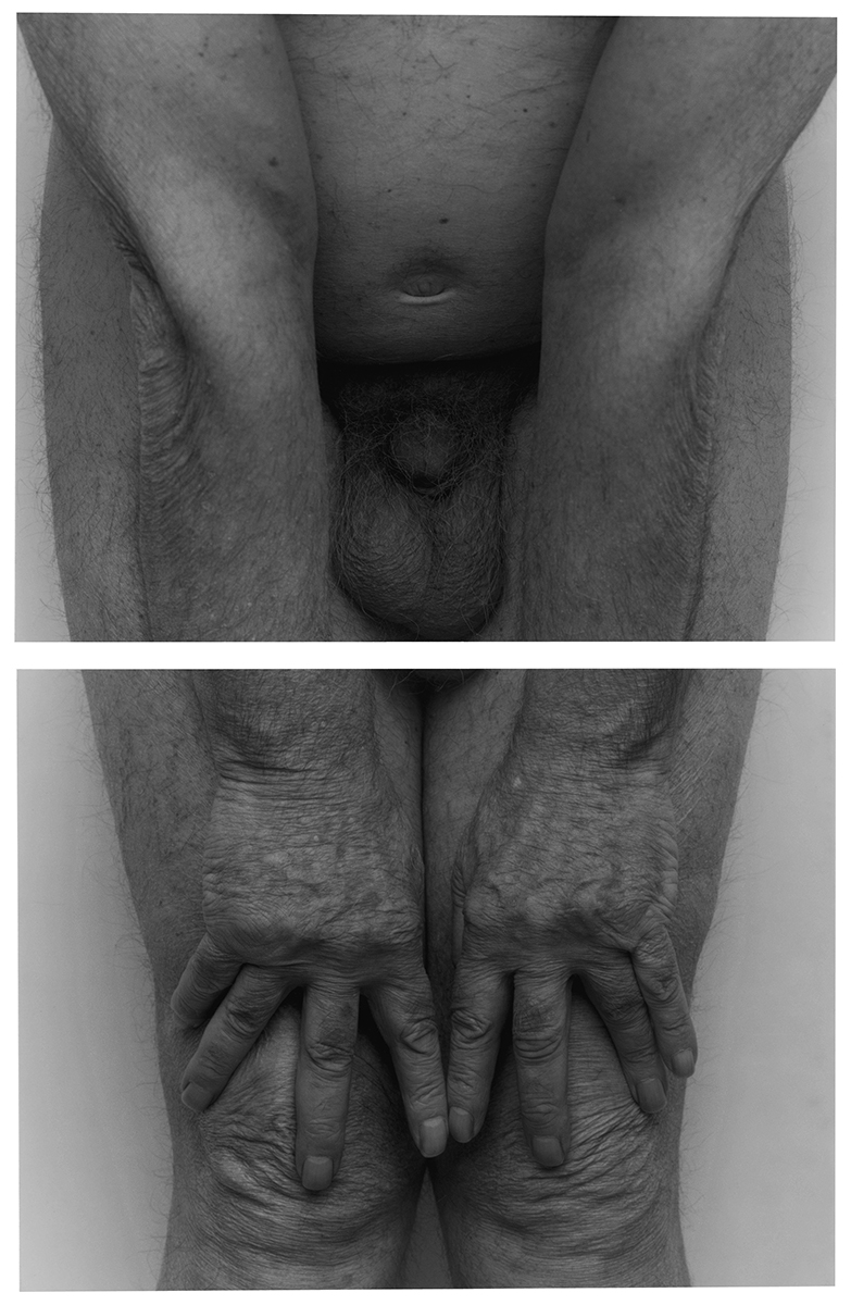 Front, Hands on Knees, No. 4, Two Panels, 1999