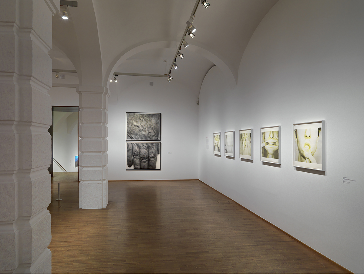 Installation View, "Hand, Two Panels, Vertical, 1988,"  75 x 48 in.