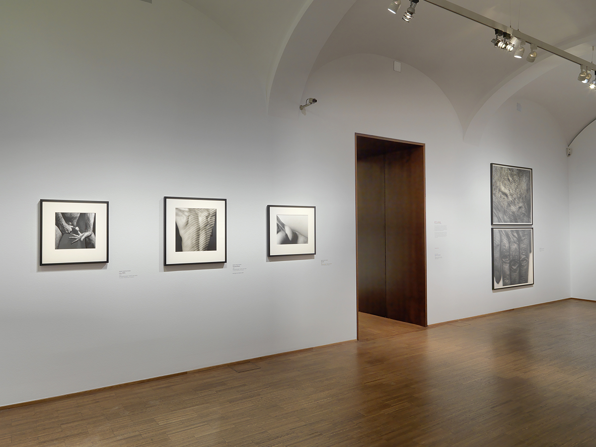 Installation View, far right: "Hand, Two Panels, Vertical, 1988,"  75 x 48 in.