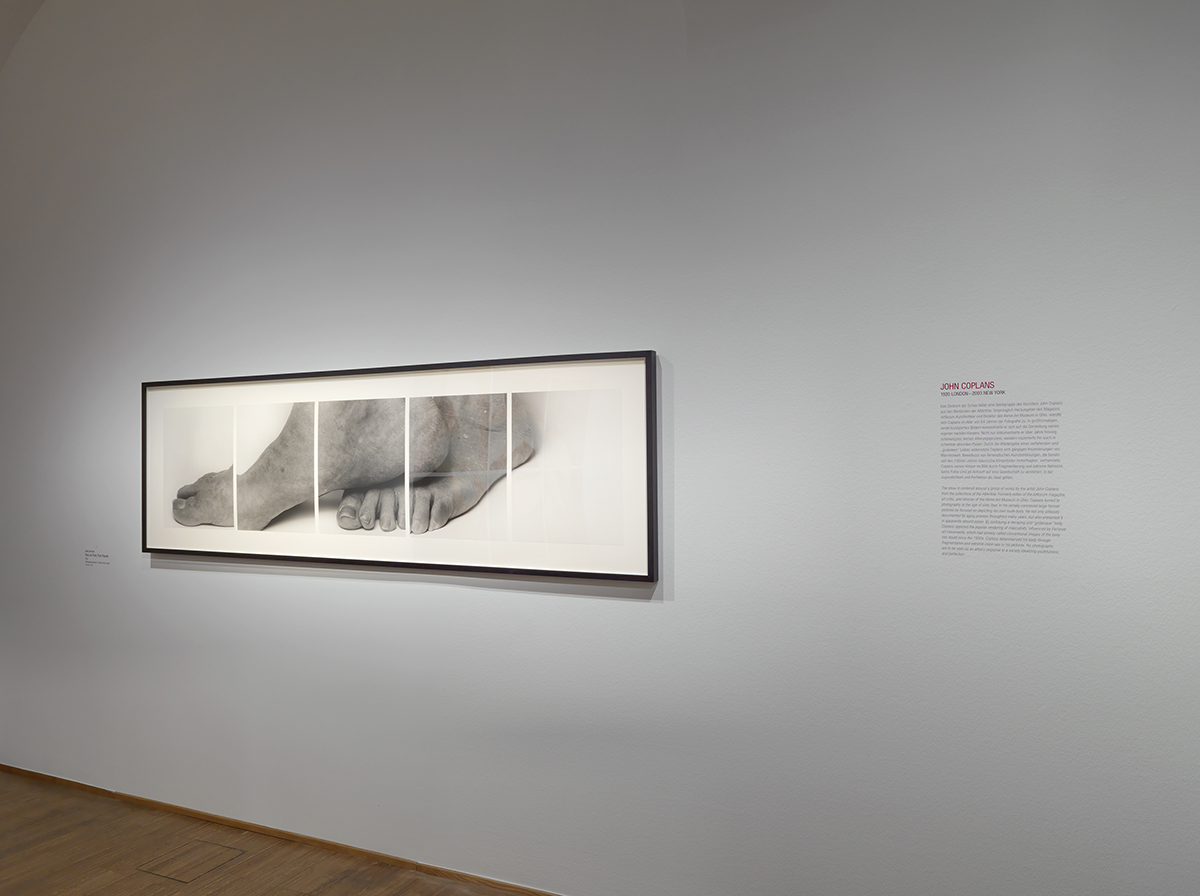 Installation view, "Toes on Foot, 1989," 29 x 96 in.