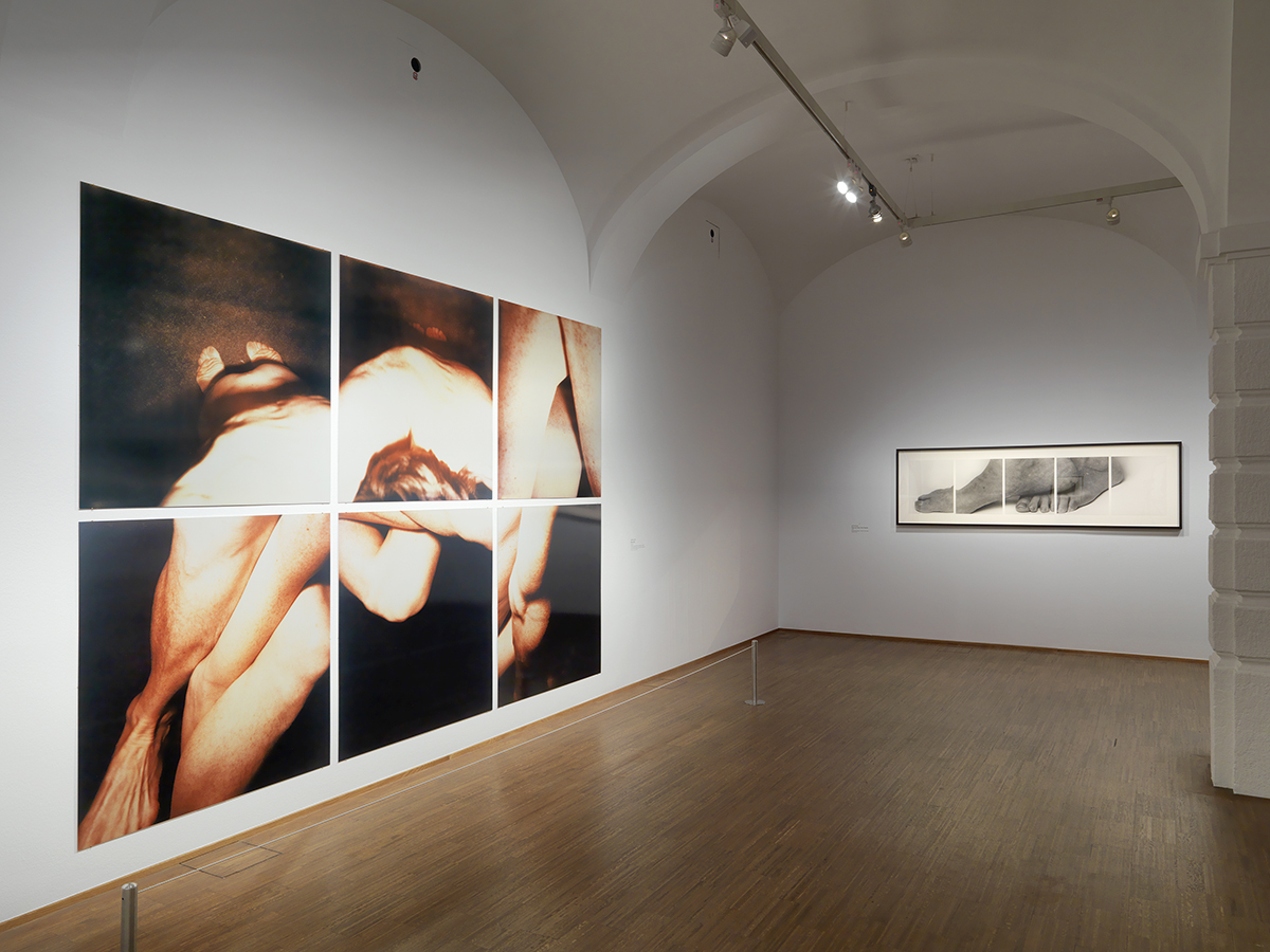 Installation view, "Toes on Foot," 29 x 96 in.