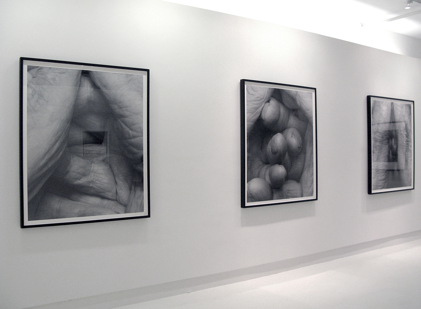 Installation view, from left: "Interlocking Fingers, No. 23, 2000," 47 x 38 in.; "Interlocking Fingers, No. 17, 2000," 47 x 38 in.; "Interlocking Fingers, No. 22, 2000," 47 x 38 in.