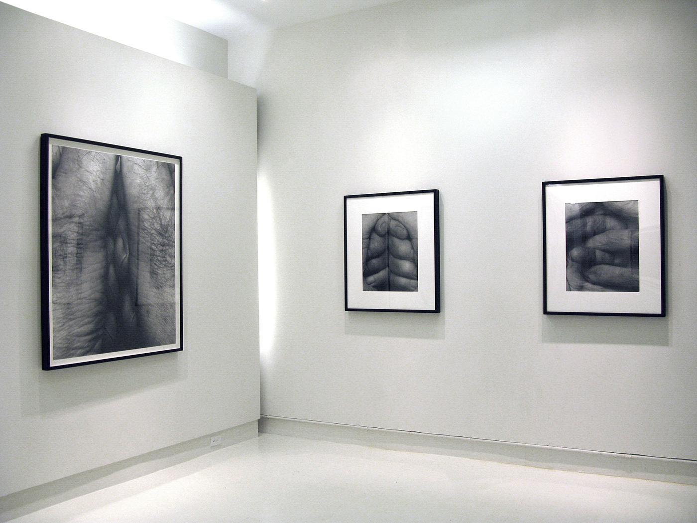 Installation view, from left: "Interlocking Fingers, No. 22, 2000," 47 x 38 in.; "Interlocking Fingers, No. 20, 2000," 22 x 18 in.; "Interlocking Fingers, No. 9, 1999," 22 x 18 in.