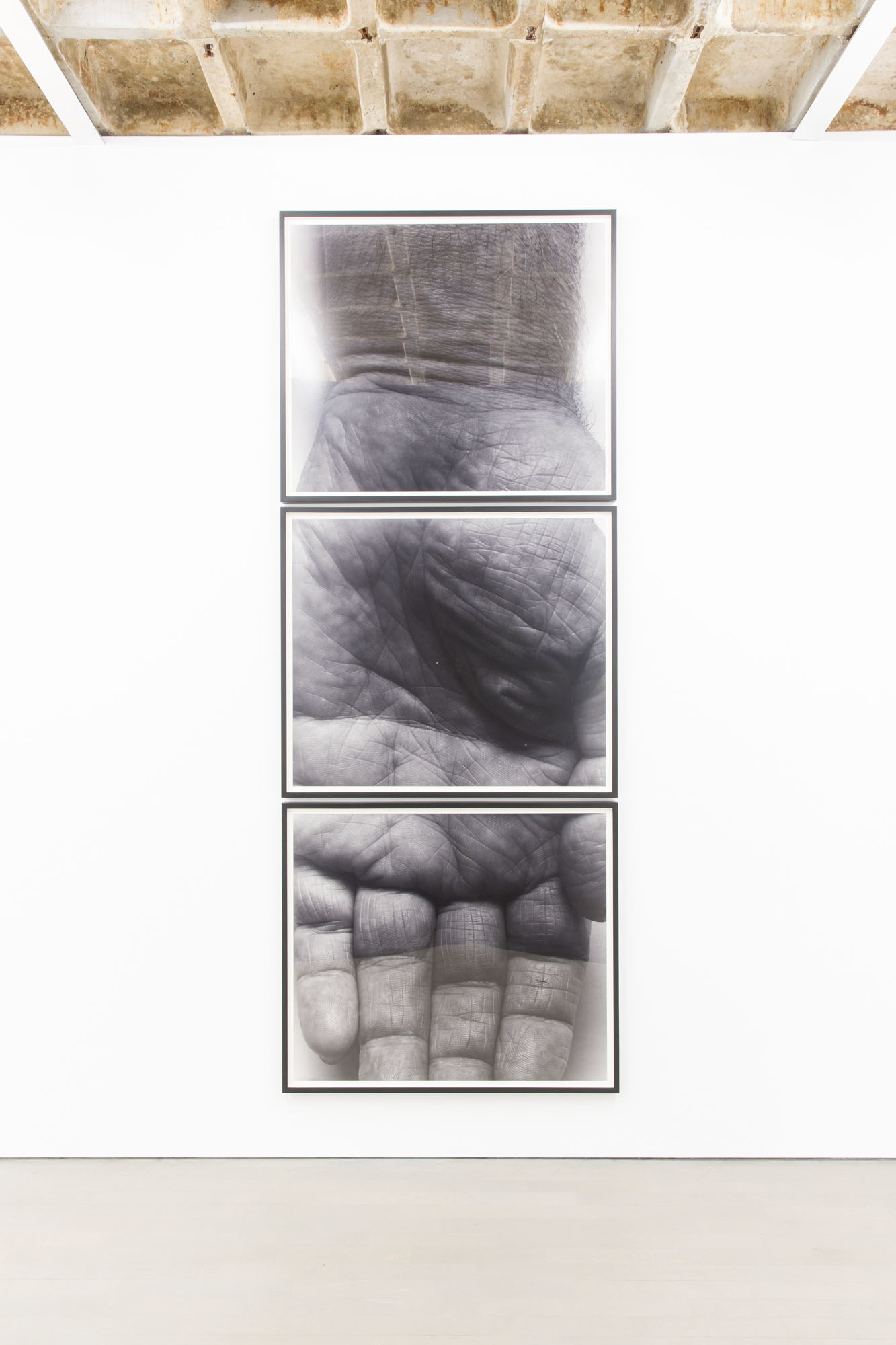 "Hand, Three Panels, Vertical, 1990" 