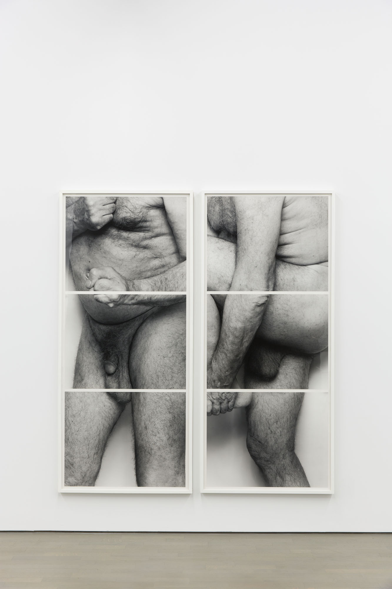 "Frieze No. 8, Two Panels, 1994," 78 x 68 inches