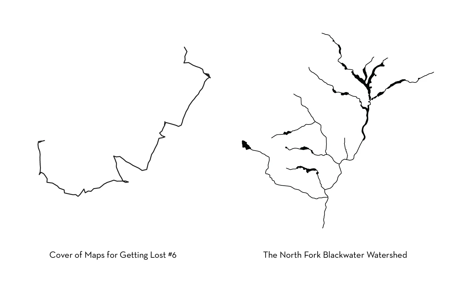 lines.jpg