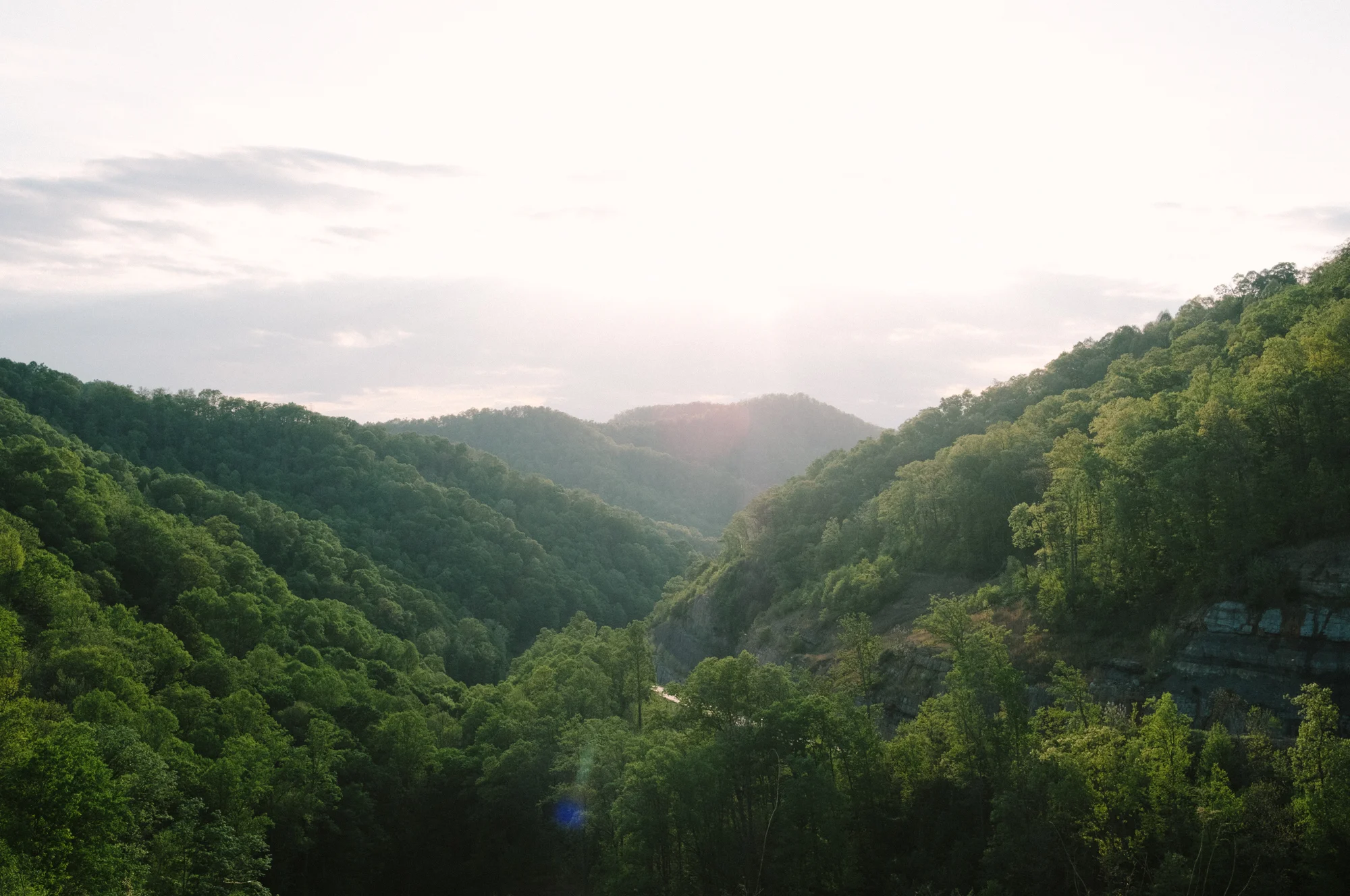 20180509-DSCF5262.jpg