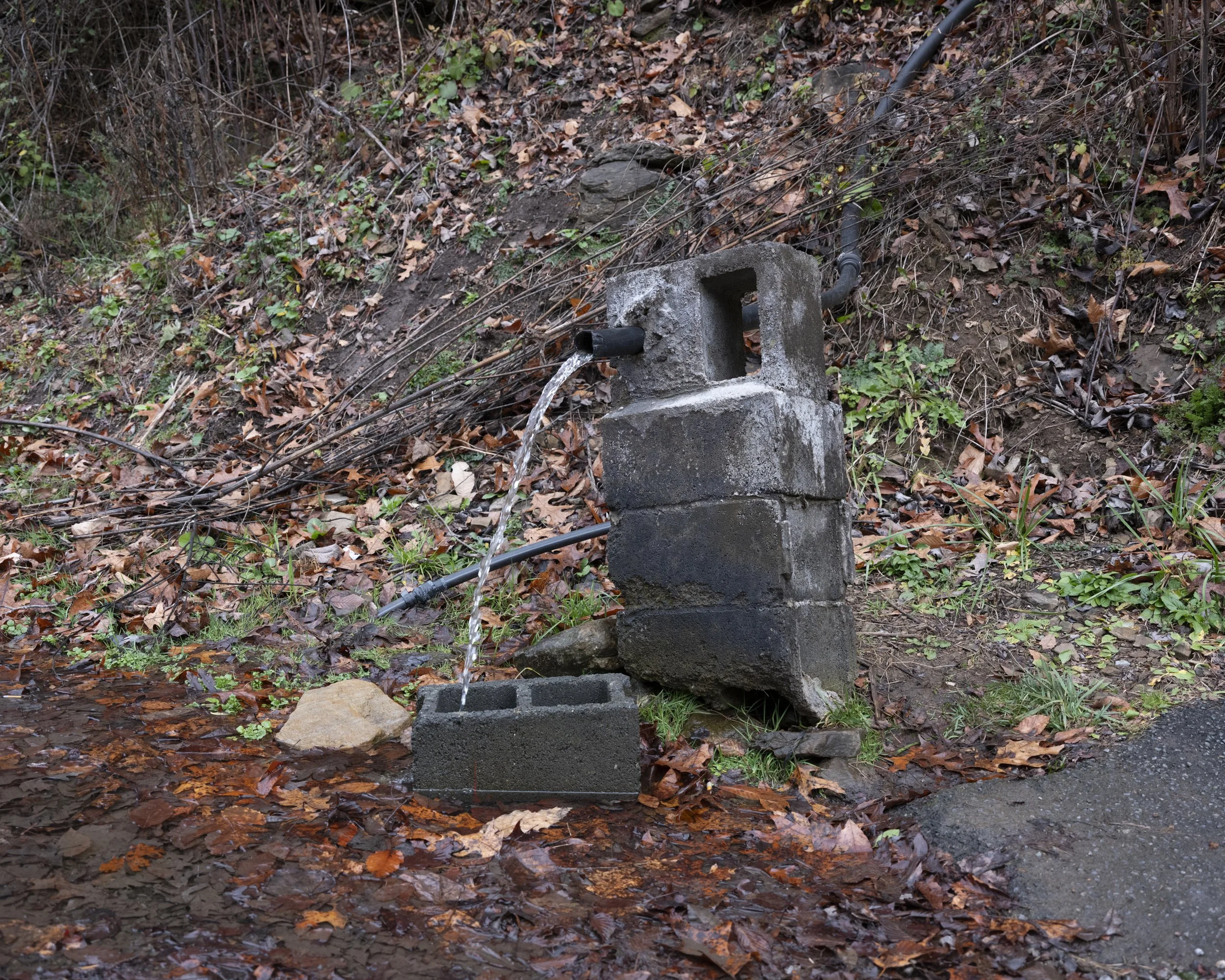 20251122-DSCF2441.jpg