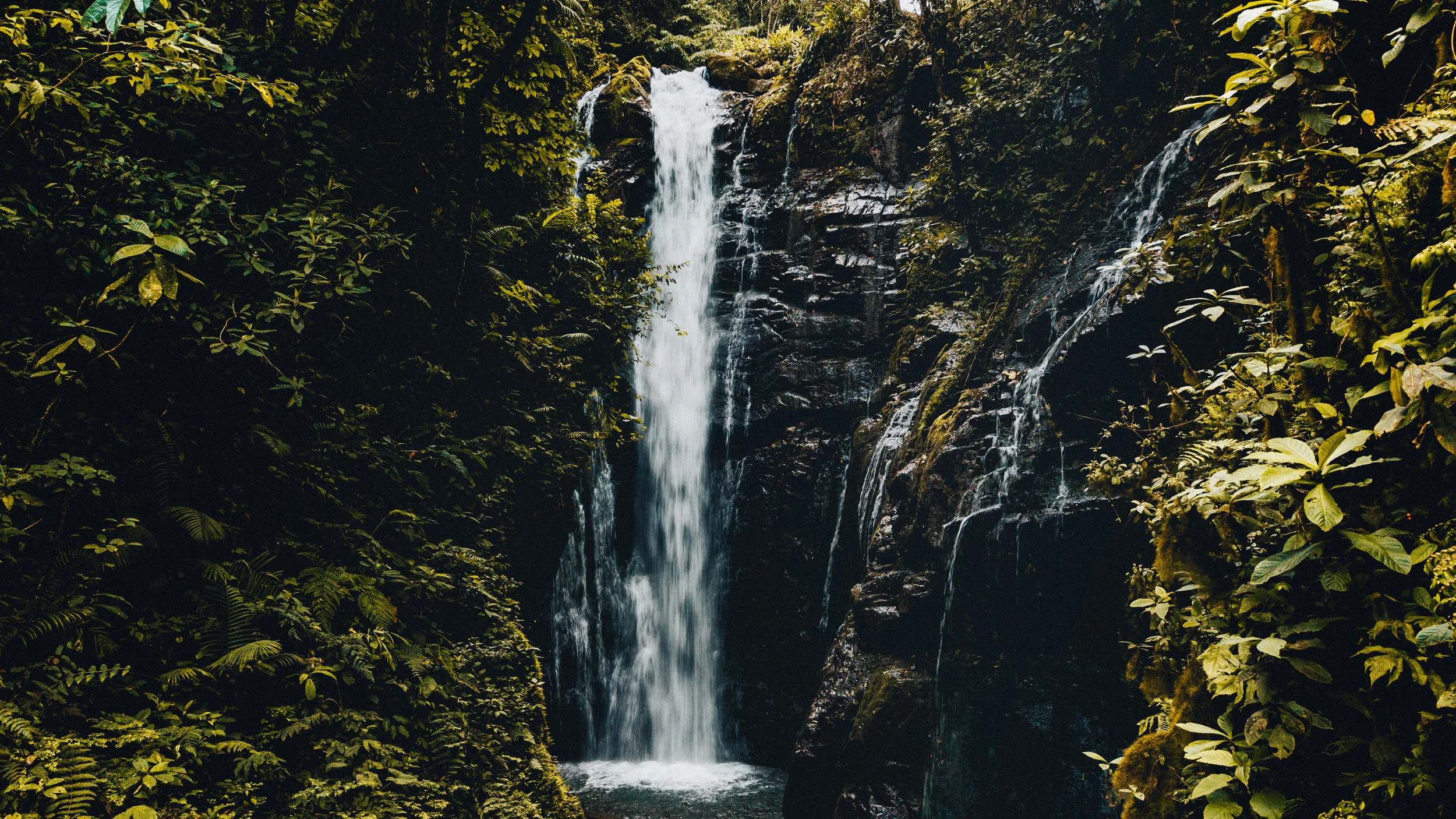 DJI_0016.jpg