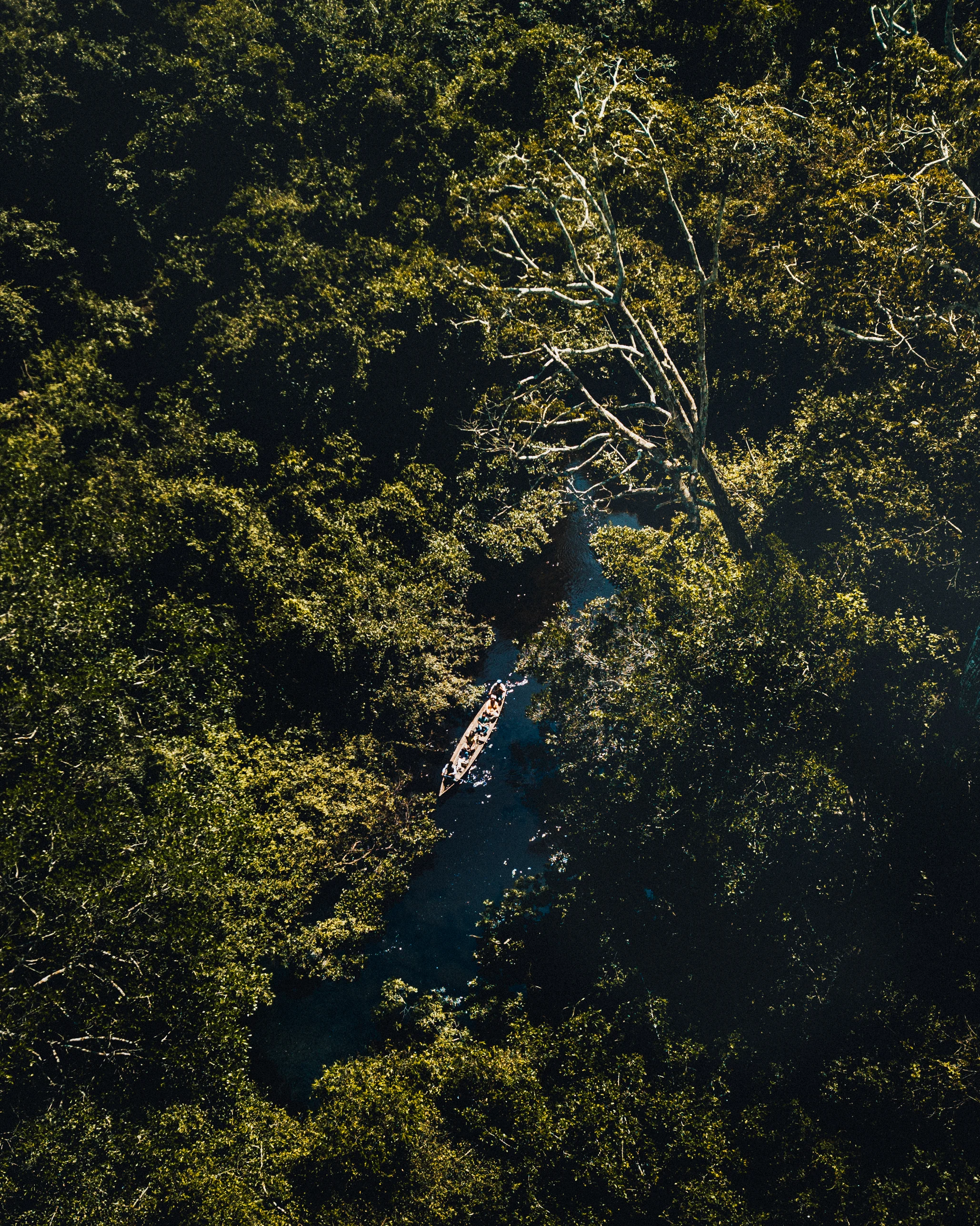 DJI_0008.jpg