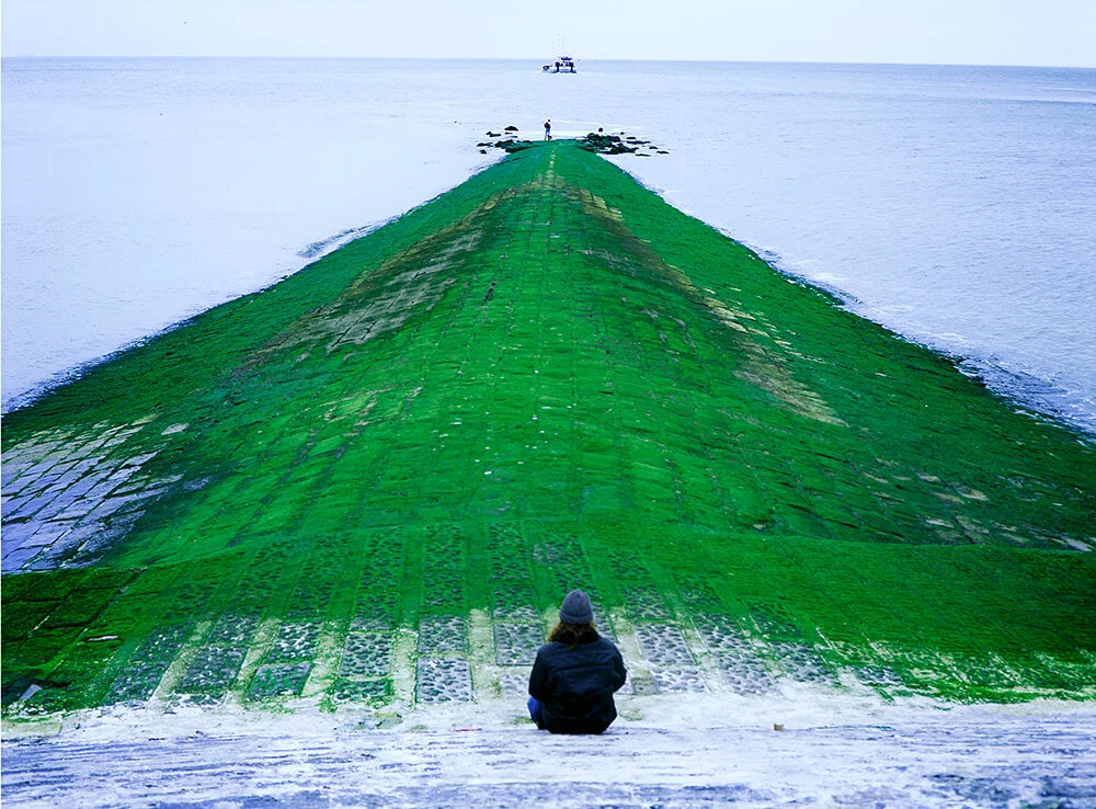 northsea304.jpg
