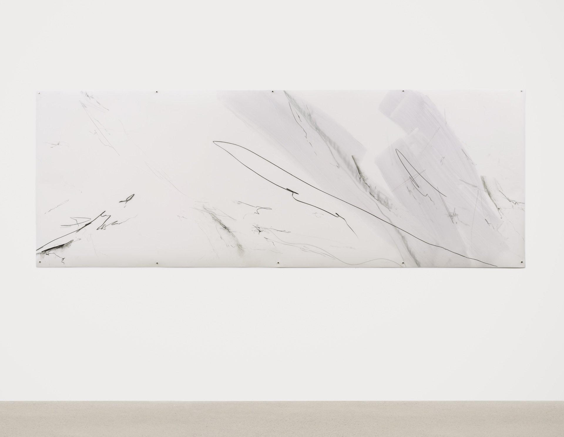  untitled  oil and graphite on mylar, 112” x 40”  Image by Rachel Topham Photography 