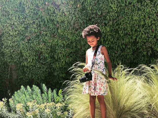 Green walls
And great photos
- @springspreserve 
#springspreserve