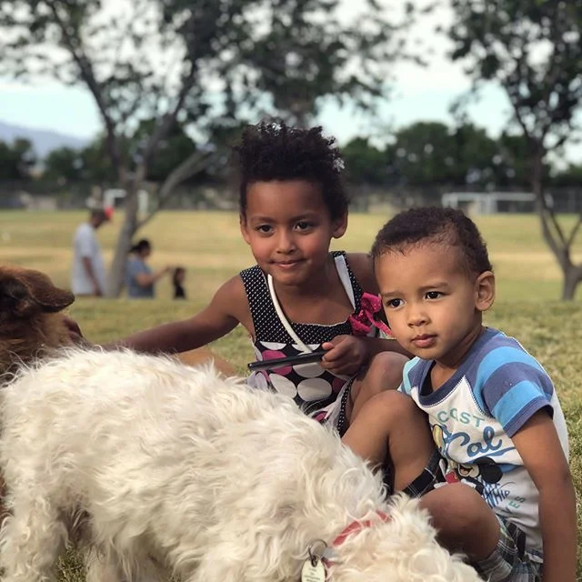 The Little people and their fantastic beasts