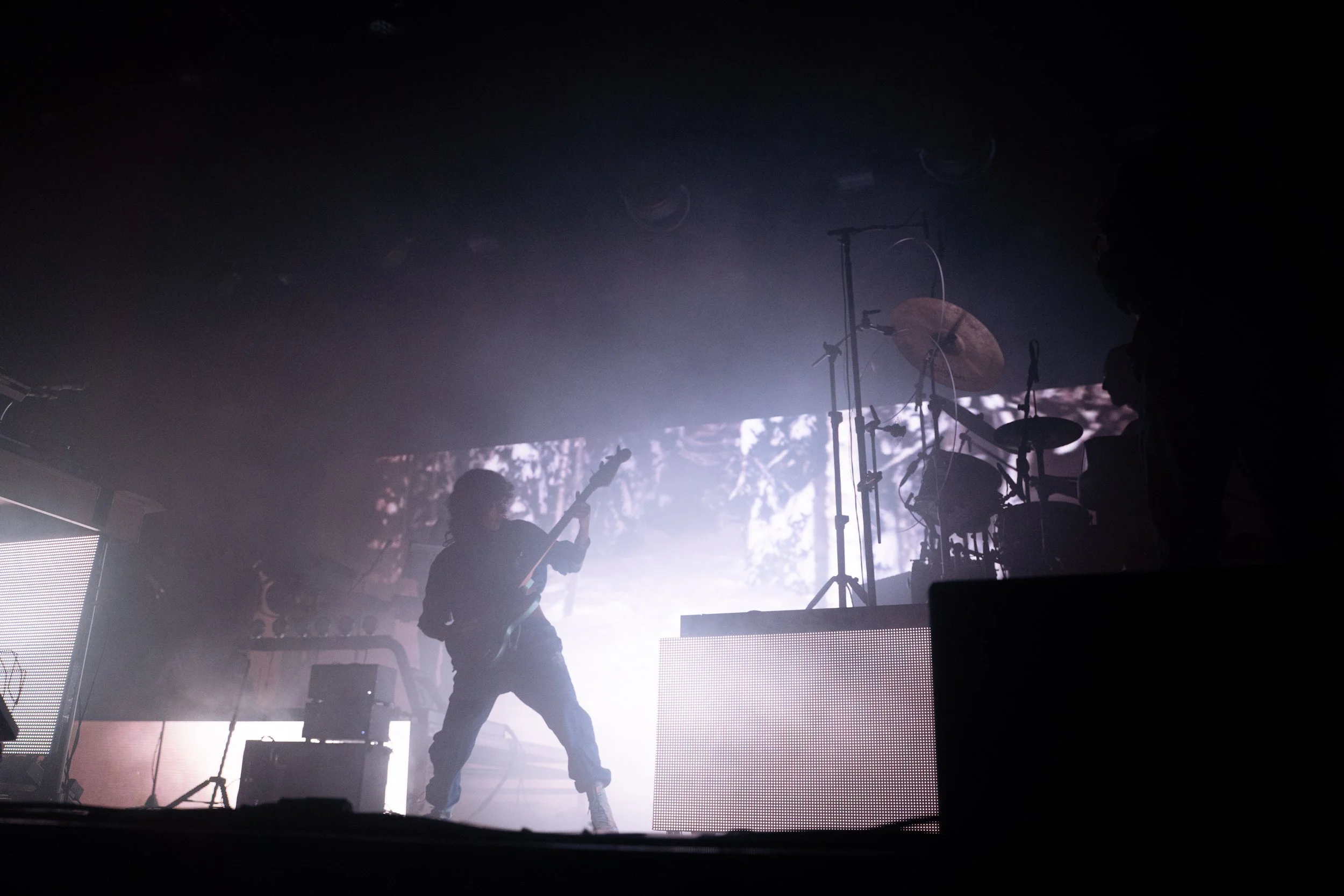 DSC08689.jpg