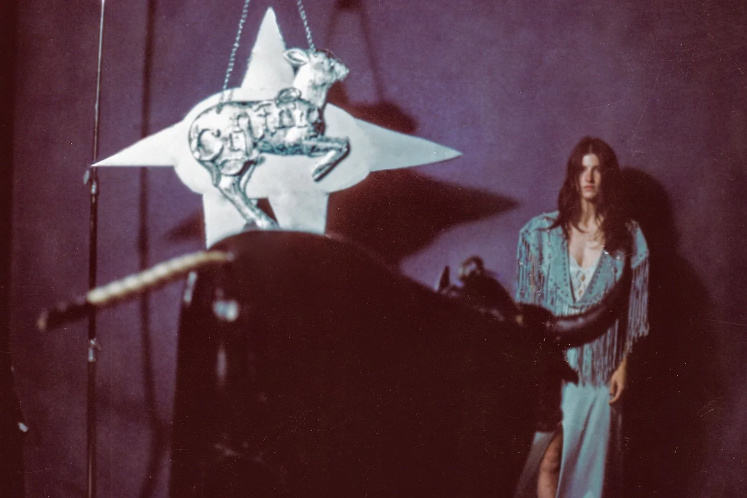 Sydney Ross Mitchell Follows her Heart through a Tornado of Guilt, Disapproval, and Nostalgia to Build a Home of her Own