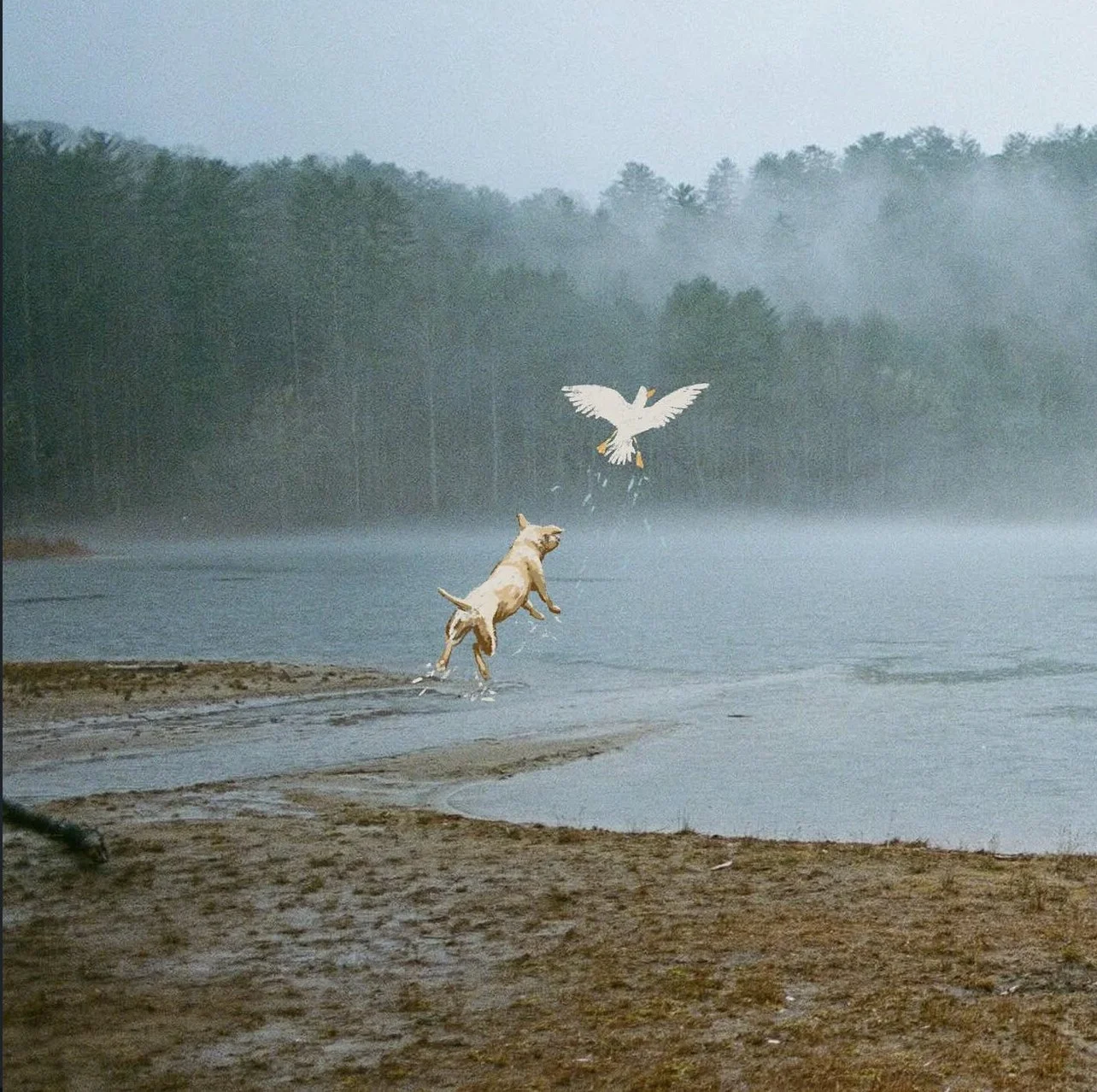 Why Hallpass’s Debut is this Year’s Best Slow-Burn