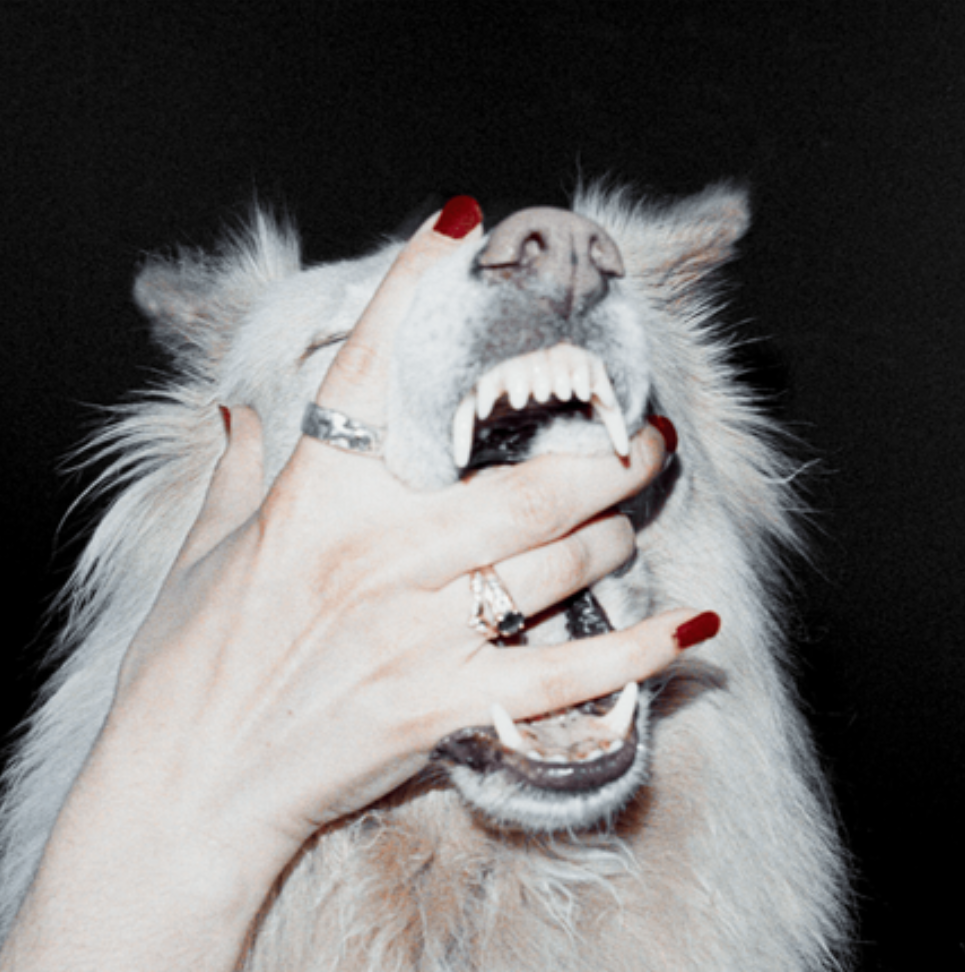Launched Into Rotten Paranoia: Porch Light’s Latest Singles