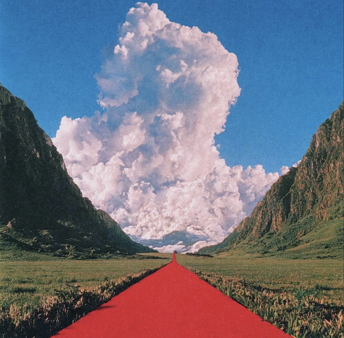 Patience, Passion, and Penelope Road&nbsp;