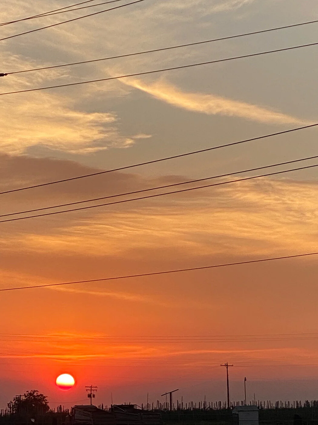 sunset-sundoremi-yakima-lightart-goldenhour-sized35.jpg