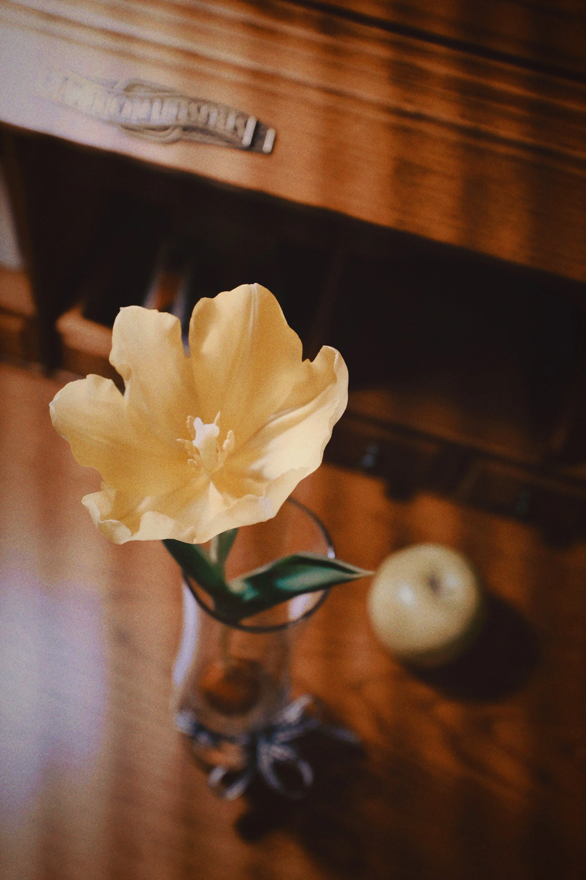 sundoremi-photography-home-interior1-letslive5.JPG