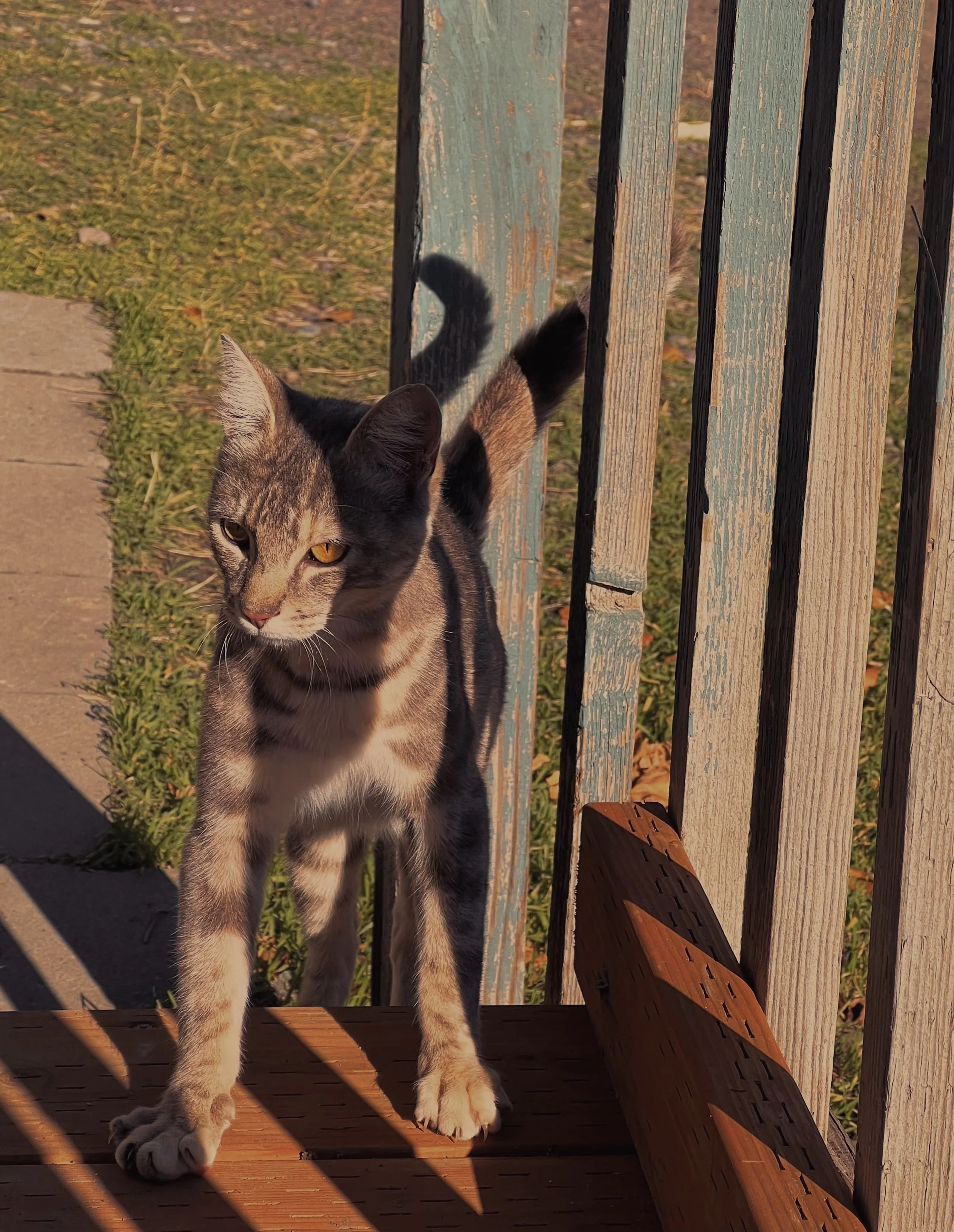 countryside-sundoremi-sunset-yakima-granger-winery-wildcat.jpeg