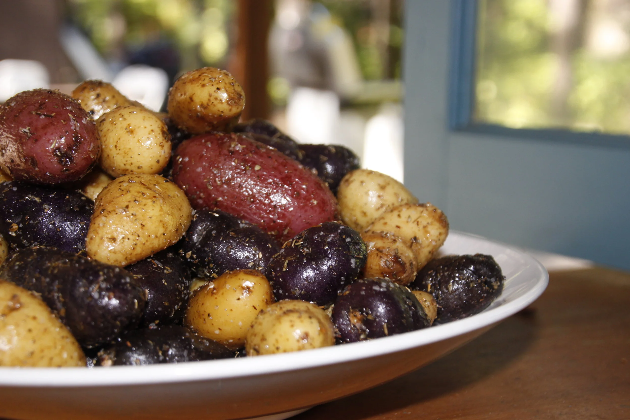 fingerlings2-broderick-20160730.JPG