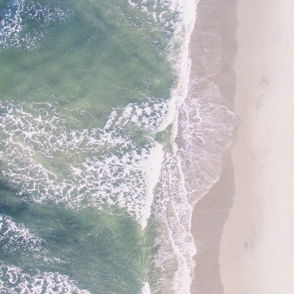 Surfrider.jpg