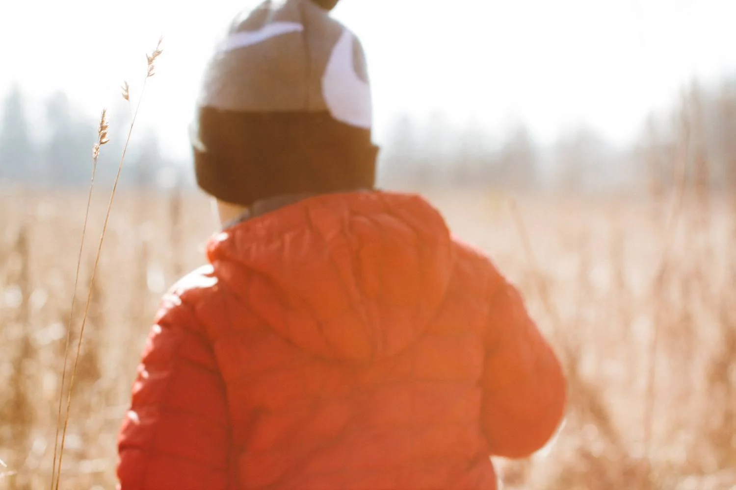 Little Adventures : Elijah Bristow SP
