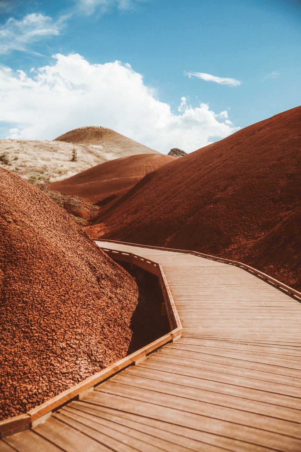 M_England_7-13-15-18_Steens_Mountain_Alvador_Desert-164.jpg