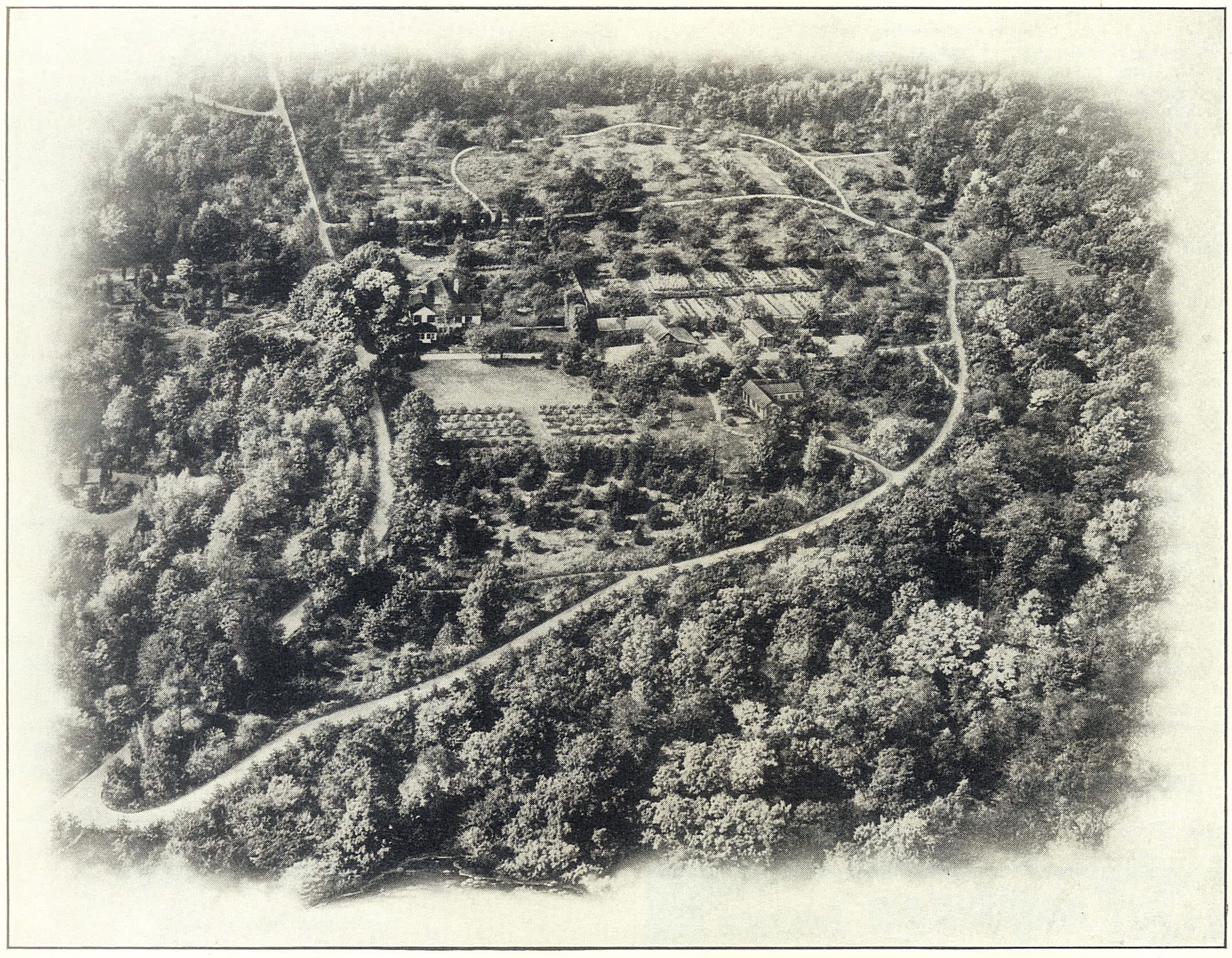 Bartlett Aerial.jpg