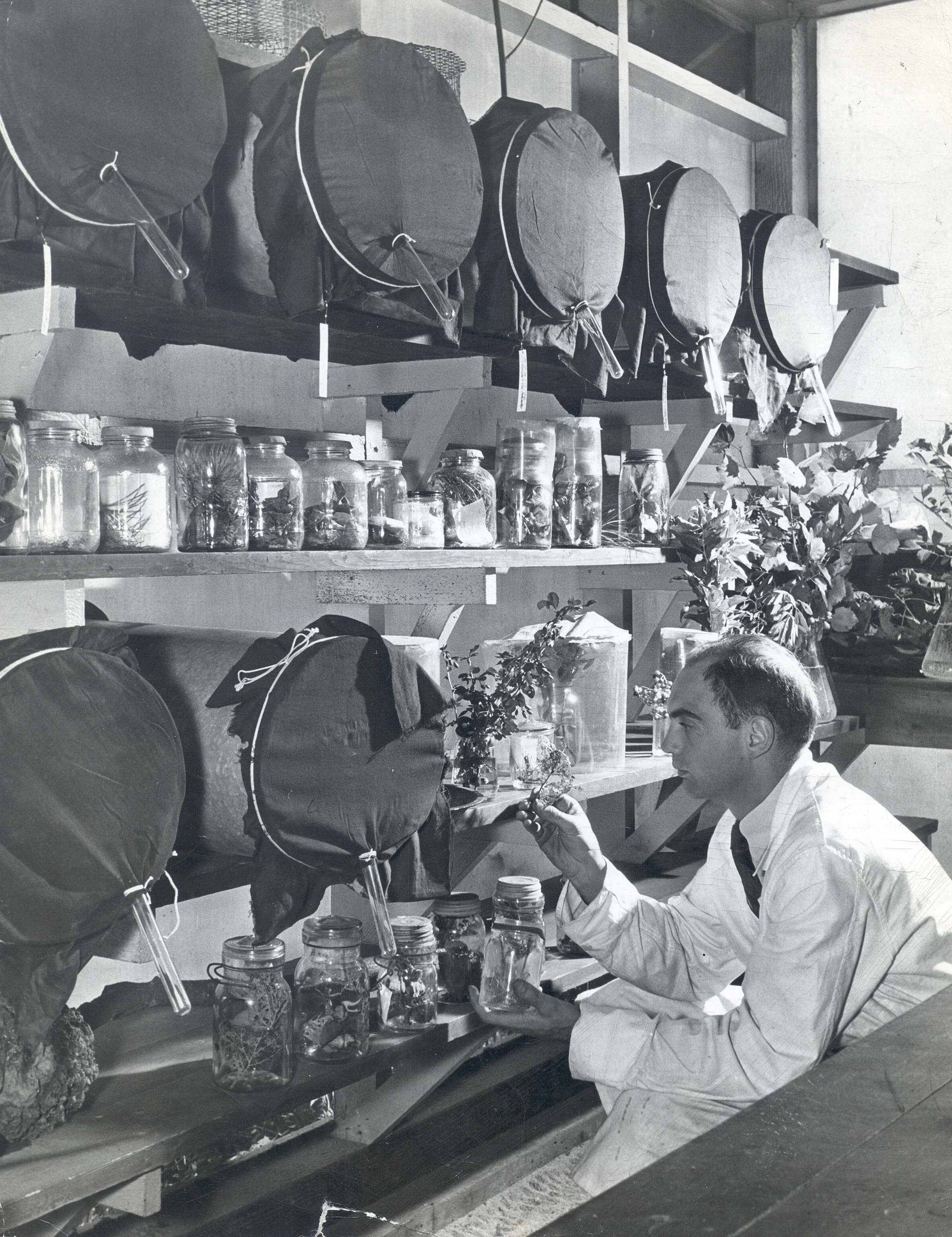 Bartlett Lab Historical 5.jpg