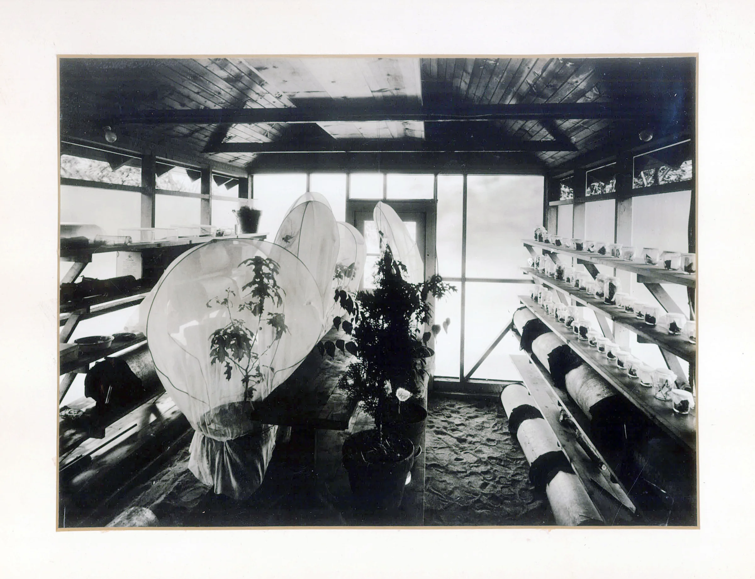 Bartlett Lab Historical 3.jpg