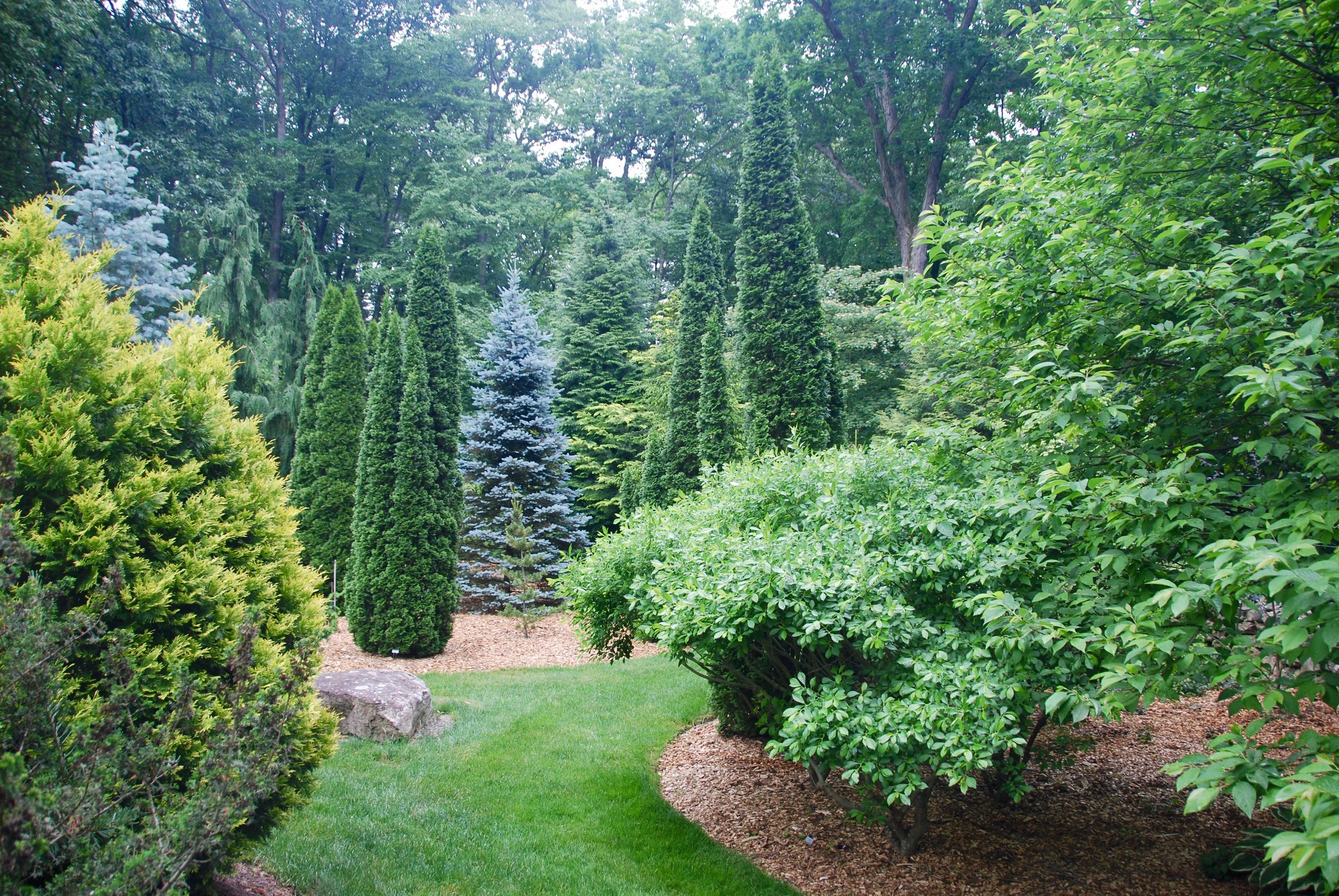 Larned Number 2 Conifer Garden.jpeg